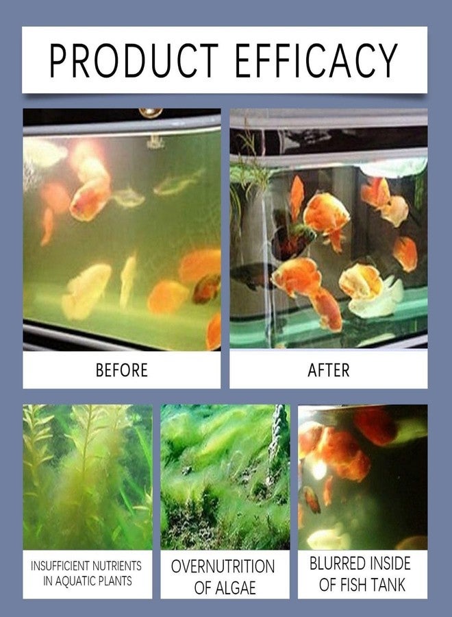 Scentora Aquarium Tank Cleaner - Removes Algae, Odors & Debris Fast, Aquarium Cleaning Service - Stress-Free Fish Tank Care (200) - Image 4